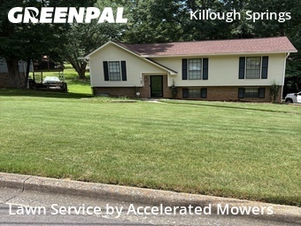 Yard Cutting nearby Birmingham, AL, 