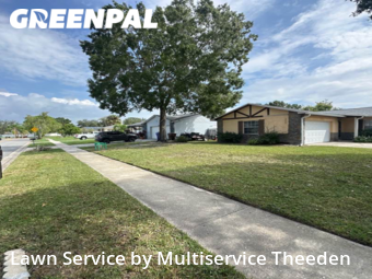 Grass Cut nearby Kissimmee, FL, 