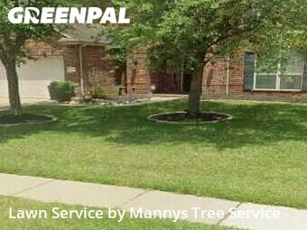 Lawn Cut nearby League City, TX, 
