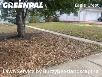 Lawn Mowing Service nearby Saint Petersburg, FL, 