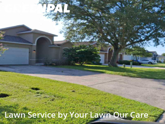 Grass Cut nearby Lakeland, FL, 