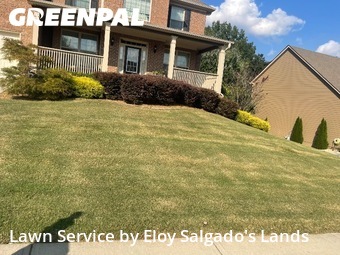 Grass Care in Braselton, 30517, Grass Services by Eloy Salgado's Lands, work completed in Dec , 2025
