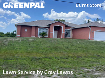 Lawn Mow nearby Cape Coral, FL, 