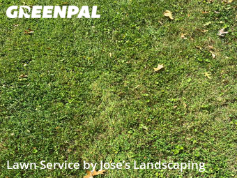 Lawn Cutting nearby Ashburn, VA, 