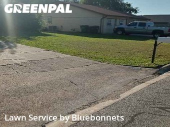 Lawn Maintenance nearby Round Rock, TX, 