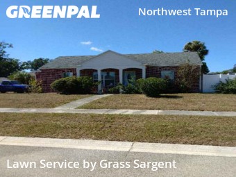 Yard Cuttingin Tampa,33604,Lawn Mowing by Grass Sargent, work completed in Nov , 2025