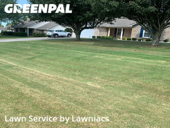 Lawn Cut nearby Harvest, AL, 