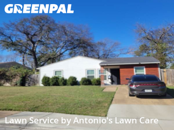Landscaping Installation Dallas,75241,Landscaping Renovation by Antonio's Lawn Care, work completed in Dec , 2025
