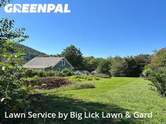 Lawn Cutting nearby Roanoke, VA, 