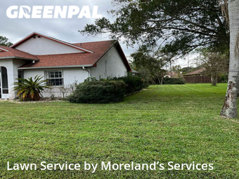 Lawn Cut nearby Palm Coast, FL, 