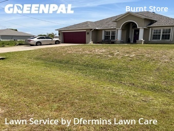 Lawn Cut nearby Cape Coral, FL, 