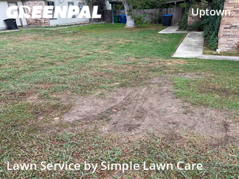 Lawn Cut nearby San Antonio, TX, 