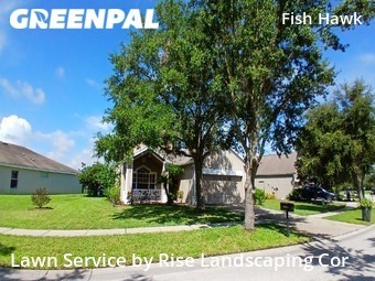 Lawn Service nearby Lithia, FL, 
