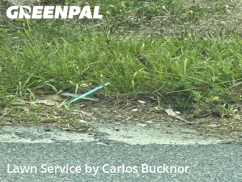 Lawn Maintenance nearby Lee's Summit, MO, 