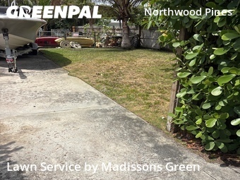 Landscaping In West Palm Beach,33407,Landscaping by Madissons Green, work completed in Jun , 2026