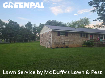 Lawn Mow nearby Hamblen County, TN, 