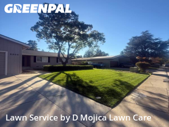 Landscaper In Elk Grove,95624,Landscaping Cleanup by D Mojica Lawn Care, work completed in Nov , 2025