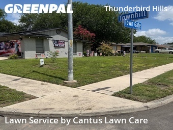 Yard Cutting nearby San Antonio, TX, 