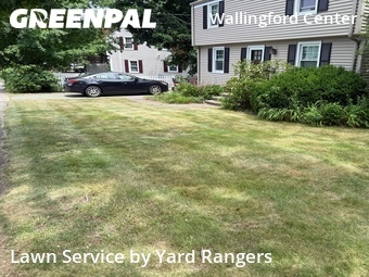 Lawn mowed in Wallingford, 6492