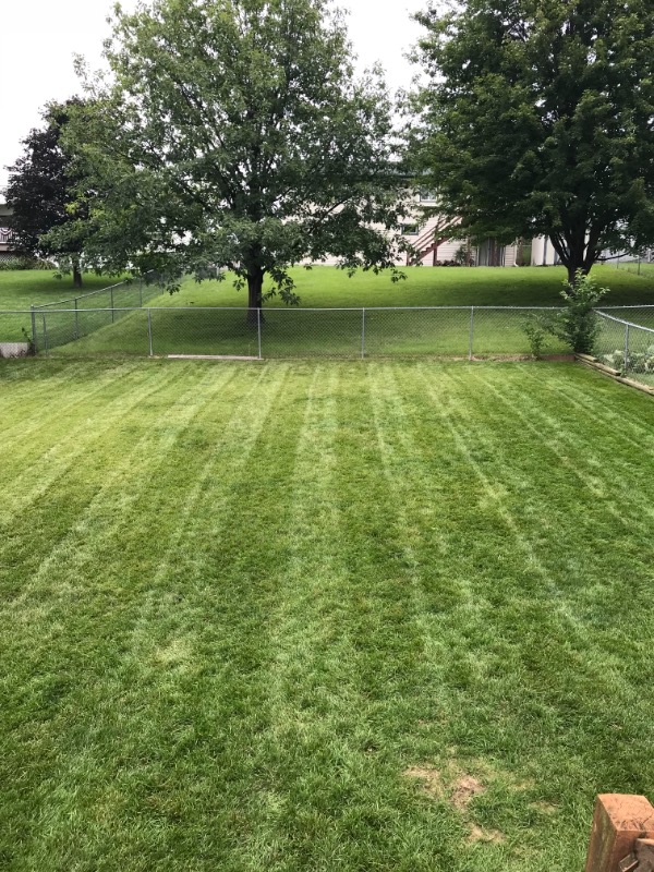 Lawn Mowing Contractor in Council Bluffs, IA, 51501