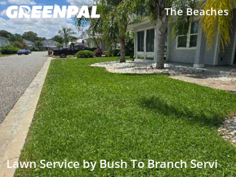 Yard Cutting nearby Jacksonville Beach, FL, 