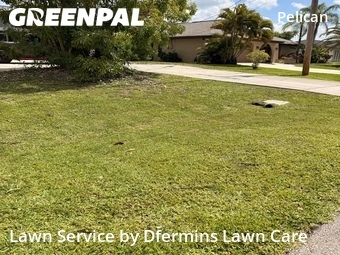 Lawn Service nearby Cape Coral, FL, 