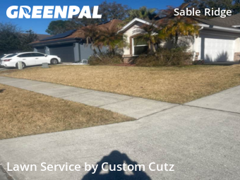 Grass Cutting nearby Land O' Lakes, FL, 