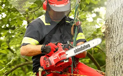 Protech Lawn Mower & Saw