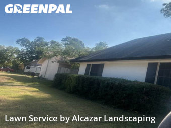 Lawn Maintenancein Irving,75062,Lawn Cut by Alcazar Landscaping, work completed in Nov , 2025