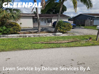 Lawn Mowingin Sunrise,33322,Lawn Maintenance by Deluxe Services By A, work completed in Dec , 2025