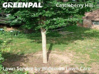 Lawn Care nearby Atlanta, GA, 