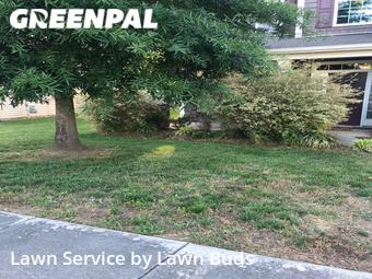 Grass Cutting nearby Charlotte, NC, 
