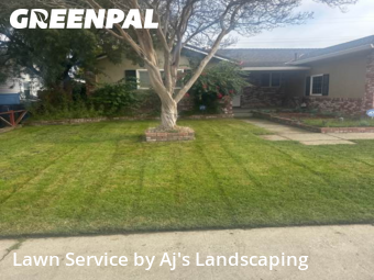 Work completed by reliable-lawn-care-service-in-Manteca-CA