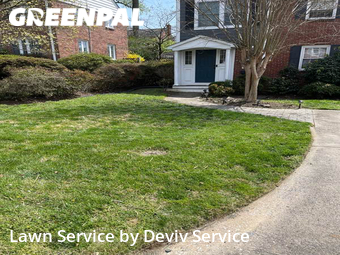 Grass Cutting nearby Silver Spring, MD, 