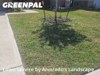 Grass Cutin Porter,77365,Lawn Service by Alvarado's Landscape, work completed in Nov , 2025