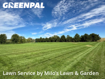 Grass Cutting nearby Pasco, WA, 