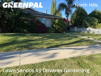 Work completed by lawn-care-experts-near-me-in-Los Angeles-CA