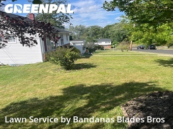 Yard Mowing nearby Willow Grove, PA, 