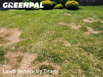 Grass Cut nearby Clarksville, TN, 