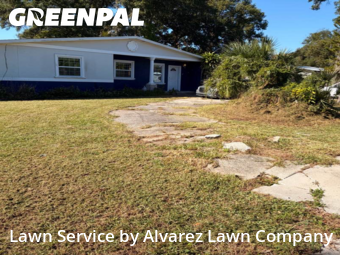 Lawn Carein Altamonte Springs,32701,Yard Cutting by Alvarez Lawn Company, work completed in Jan , 2026