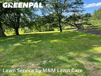 Yard Mowing nearby Sun Prairie, WI, 