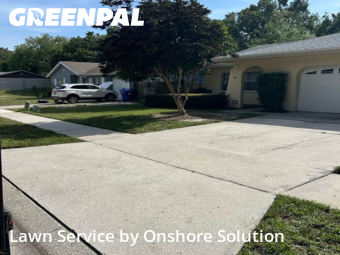 Grass Cut nearby Palm Harbor, FL, 