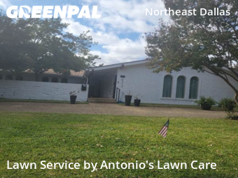 Lawn Cuttingin Dallas,75214,Lawn Cutting by Antonio's Lawn Care, work completed in Jan , 2026