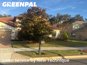 Lawn Maintenancein Winter Springs,32708,Lawn Maintenance by New Technique, work completed in Jun , 2026