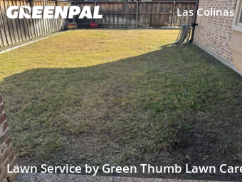 Lawn Care Servicein Irving,75039,Lawn Cutting by Green Thumb Lawn Care, work completed in Dec , 2025