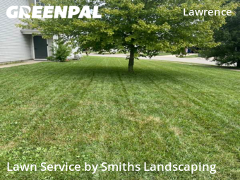 Yard Cutting nearby Indianapolis, IN, 