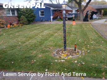 Lawn Maintenance nearby St. Clair Shores, MI, 