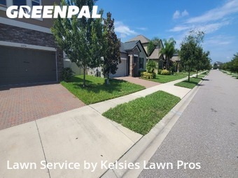 Lawn Cutting nearby Lutz, FL, 