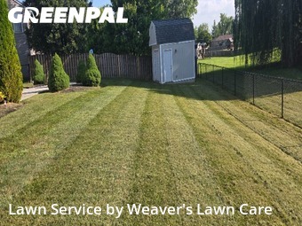 Lawn Mowing nearby New Palestine, IN, 