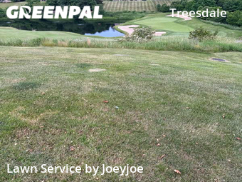 Yard Cutting nearby Gibsonia, PA, 